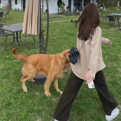 杀手老不休